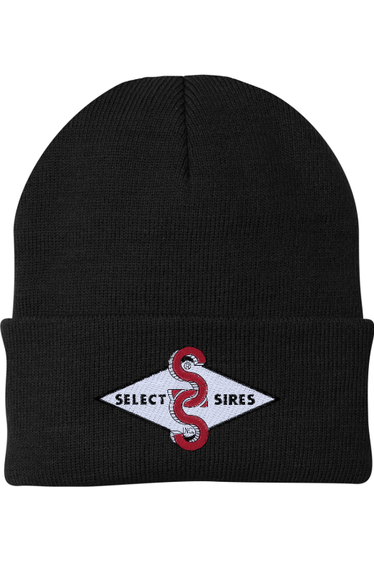 Foldover Knit Beanie