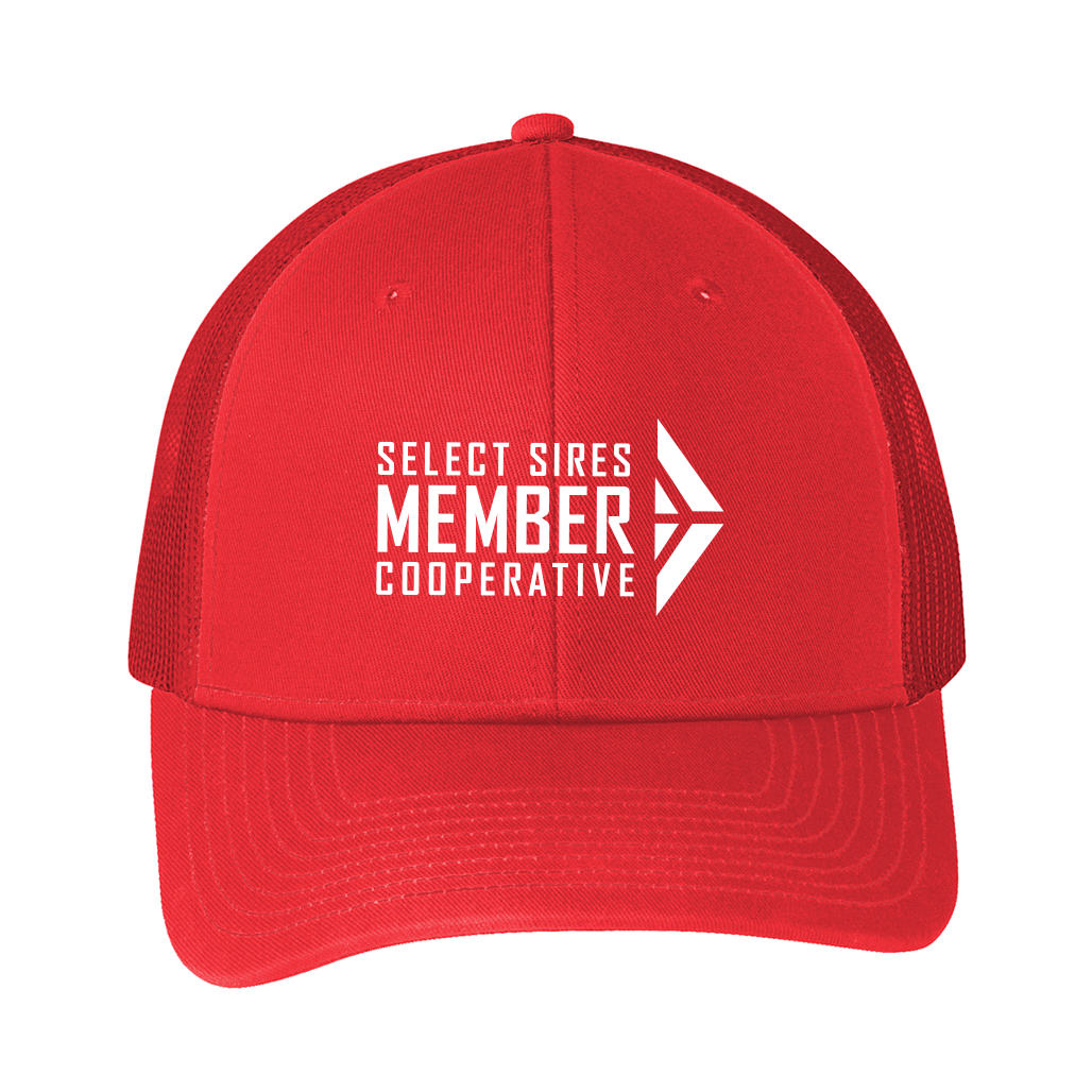 Snapback Trucker Cap