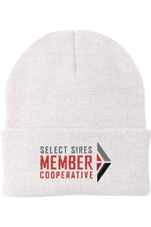 Foldover Knit Beanie