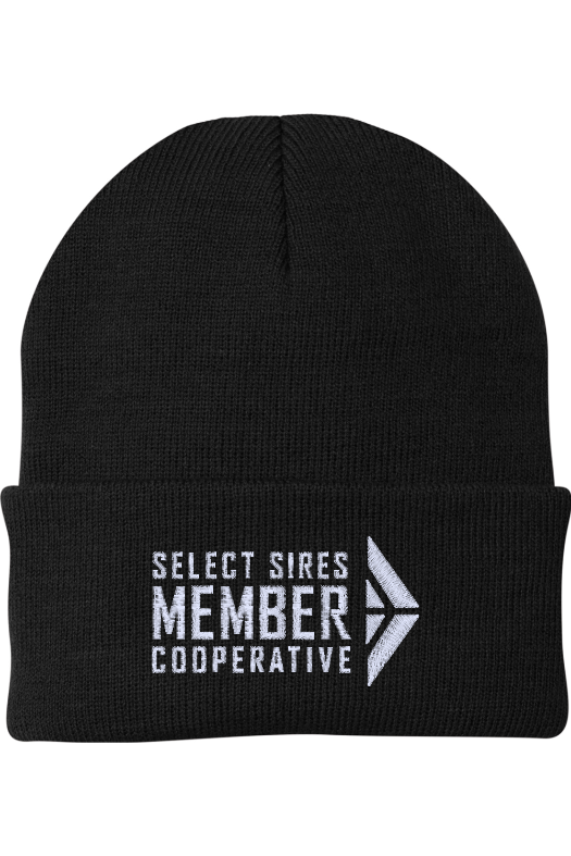 Foldover Knit Beanie