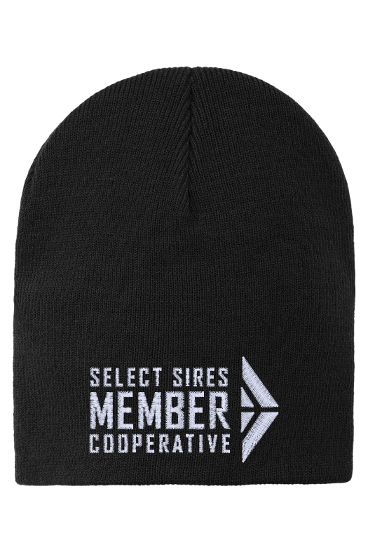 Knit Beanie