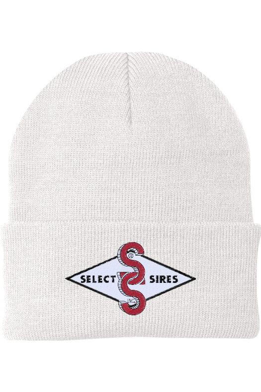 Foldover Knit Beanie
