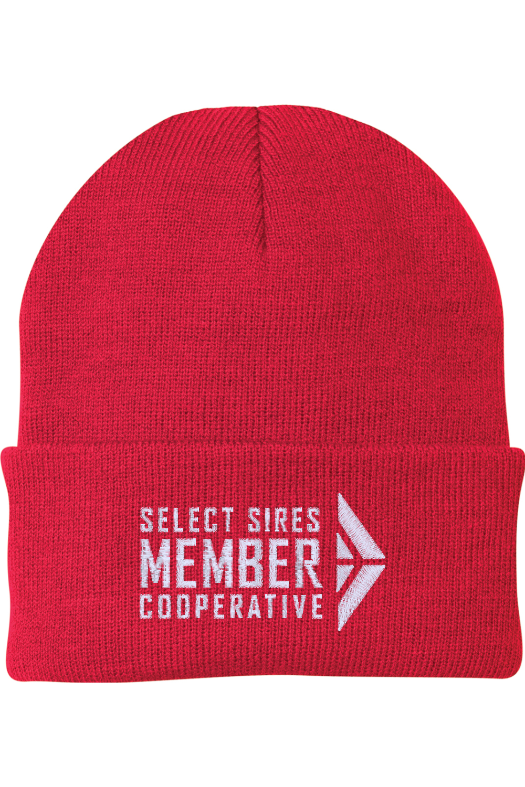 Foldover Knit Beanie