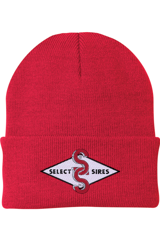 Foldover Knit Beanie