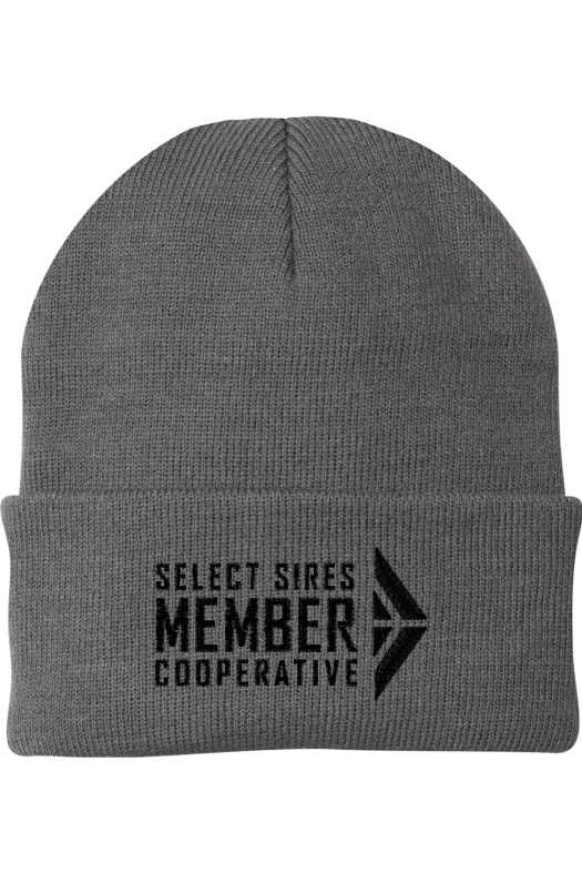Foldover Knit Beanie