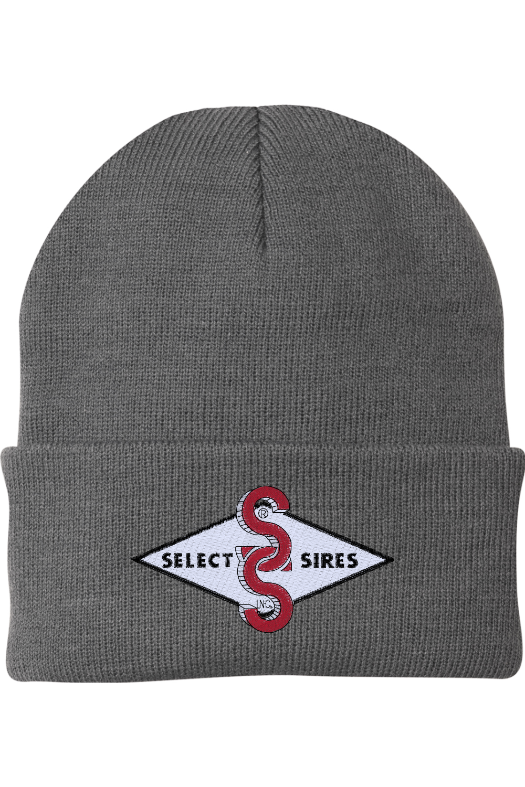 Foldover Knit Beanie