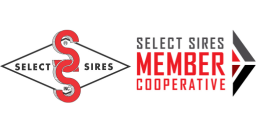 Select Sires