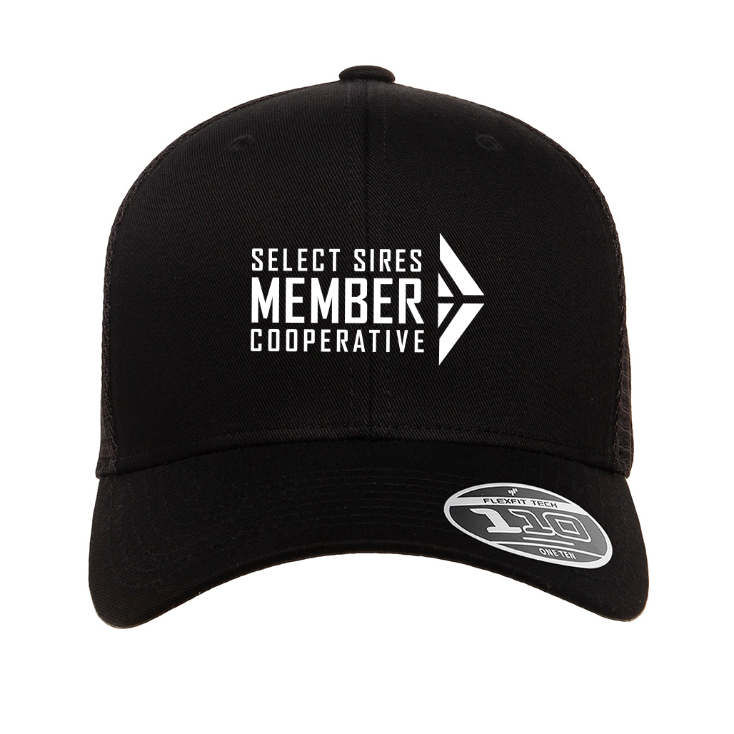 Flexfit 110 Mesh Cap
