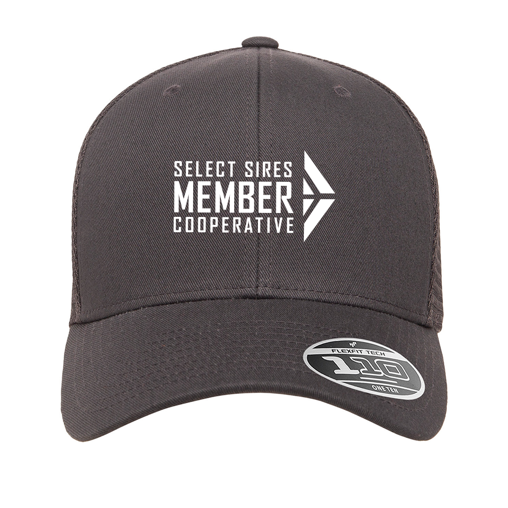 Flexfit 110 Mesh Cap