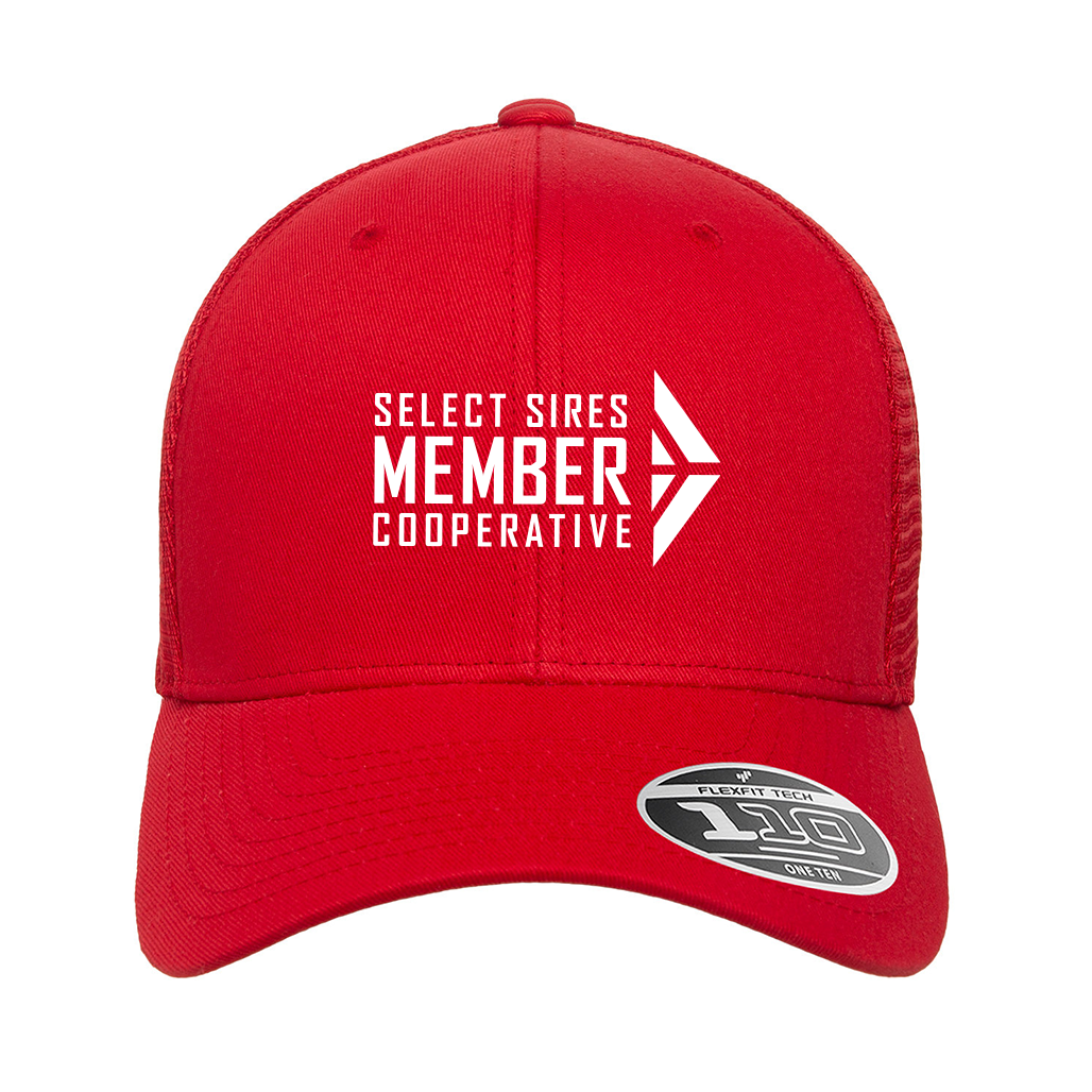 Flexfit 110 Mesh Cap