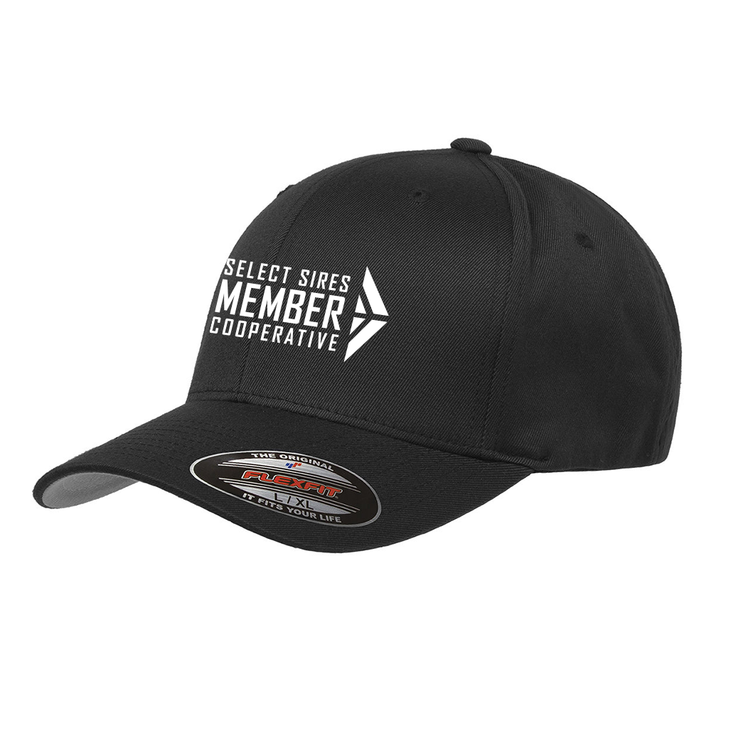 Flexfit Wooly Cap