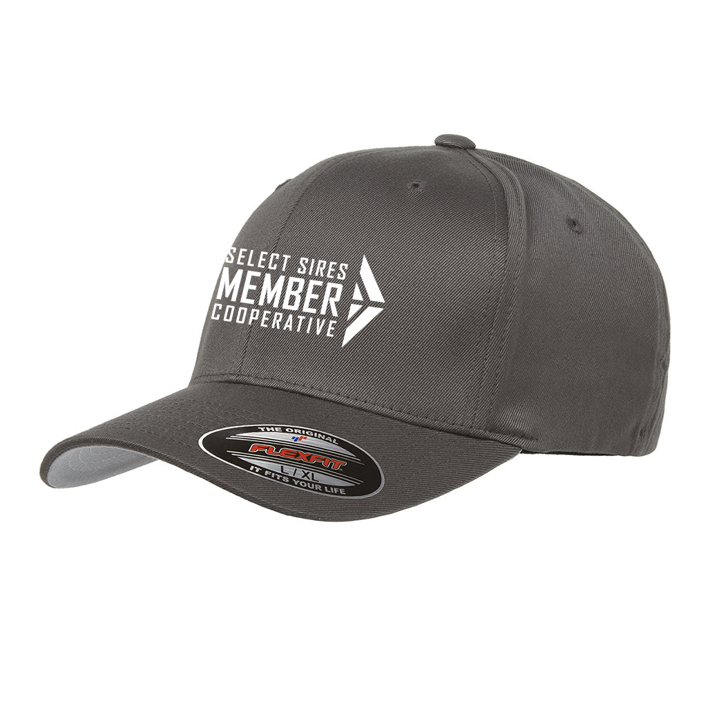Flexfit Wooly Cap