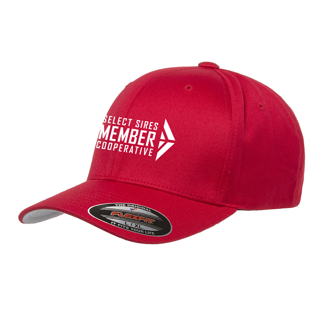 Flexfit Wooly Cap