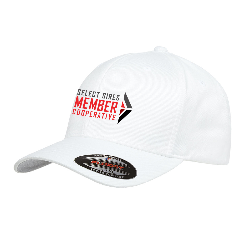 Flexfit Wooly Cap