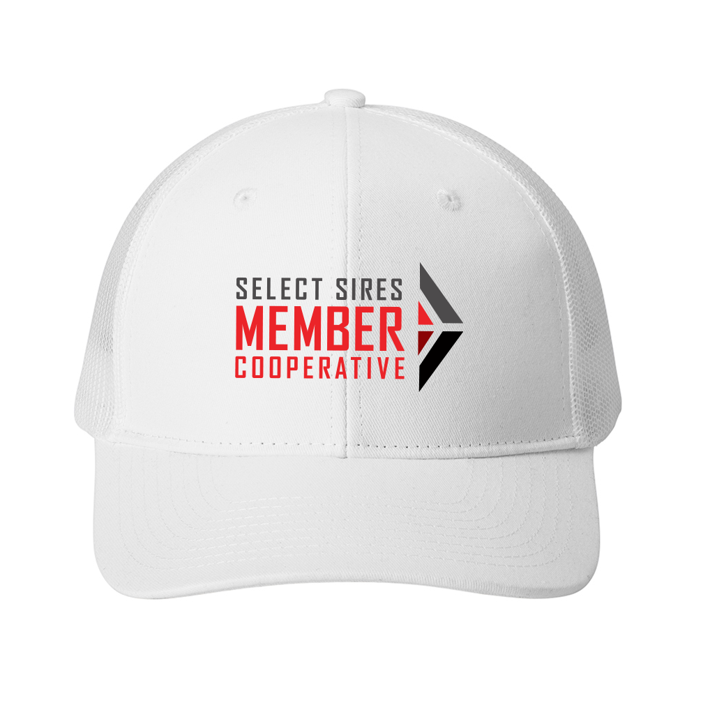 Snapback Trucker Cap
