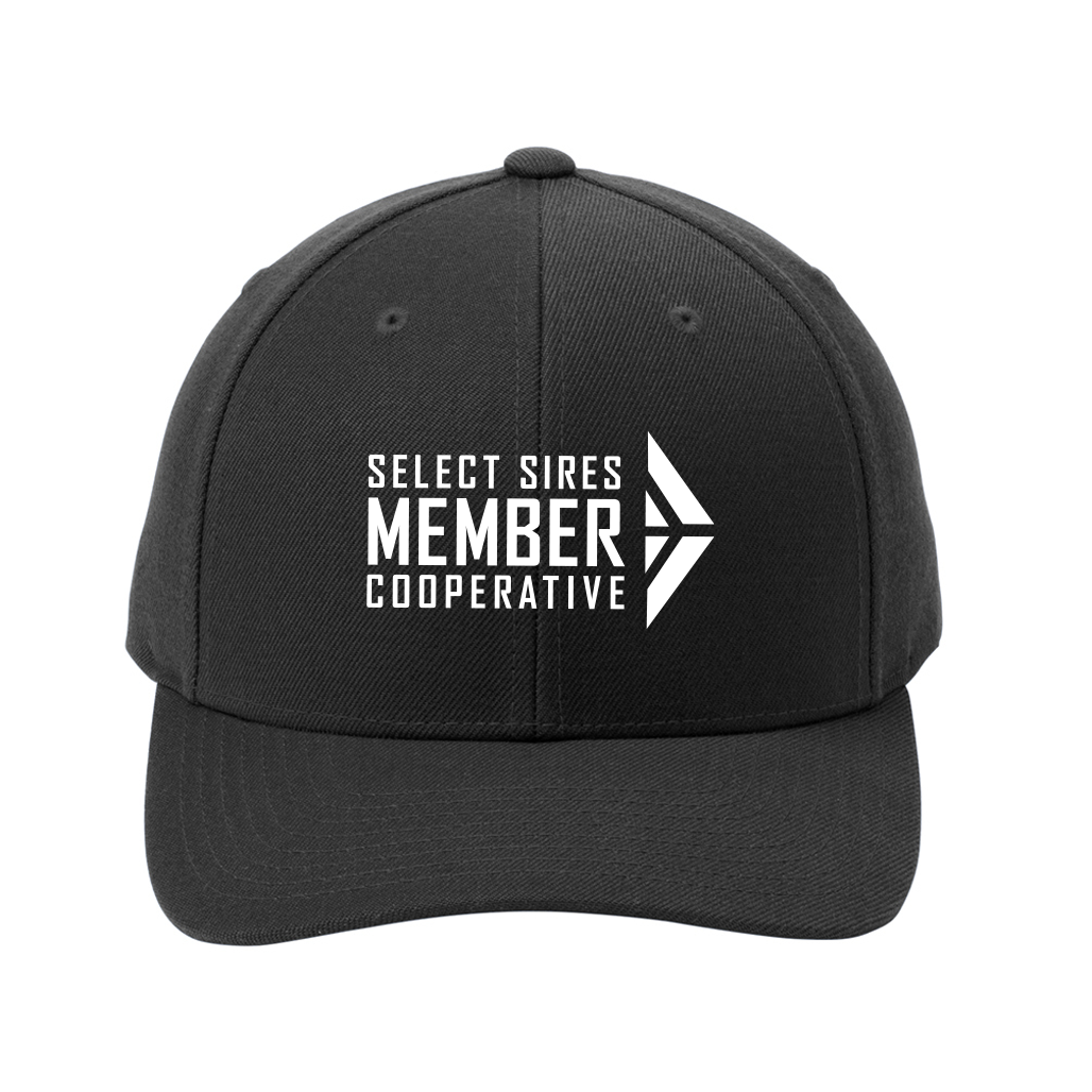 Yupoong Snapback Cap