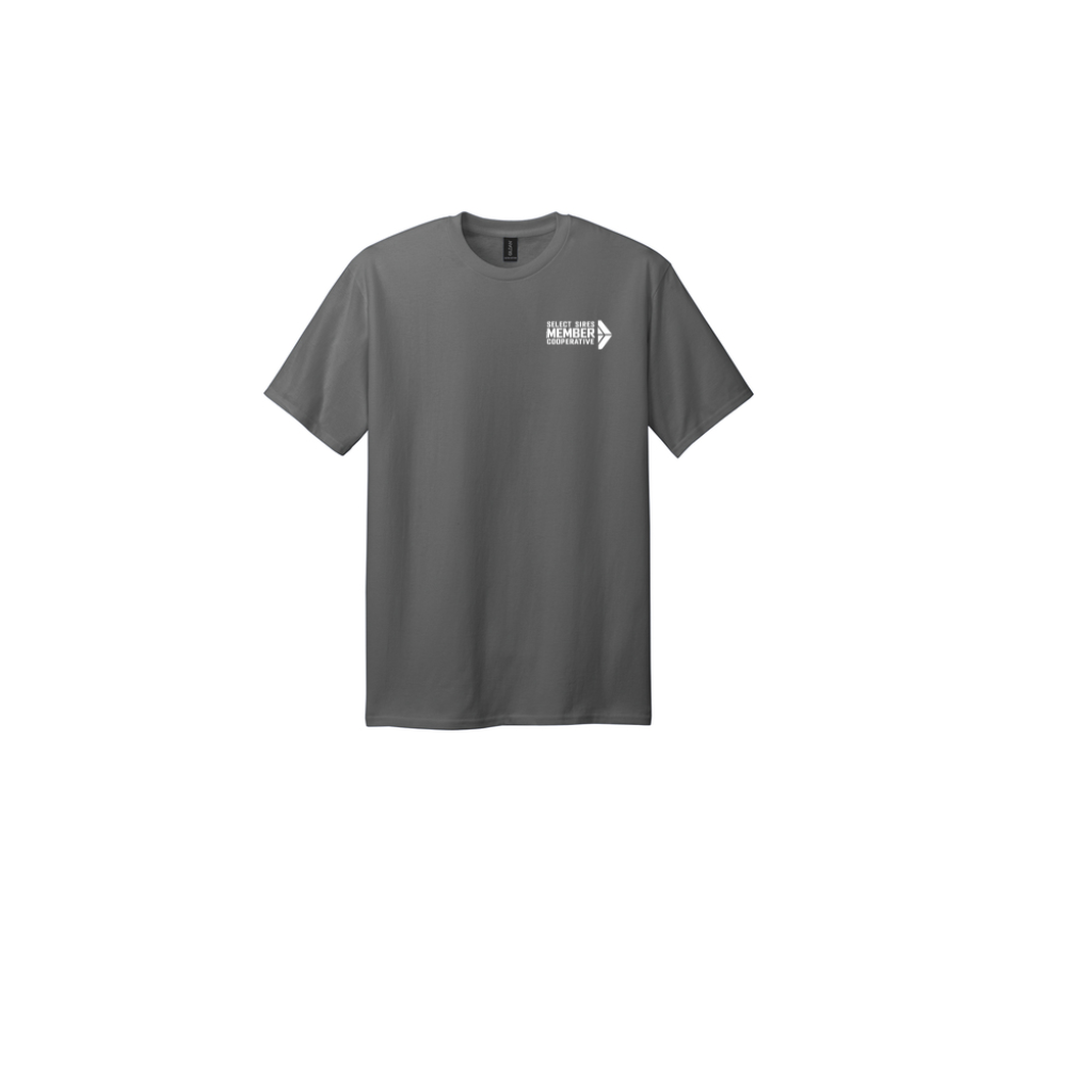 Gildan Tall 100% Cotton T-Shirt