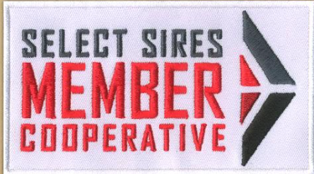 SSMC Patch