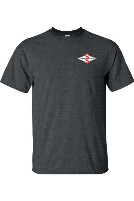 Gildan Heavy Cotton T-Shirt